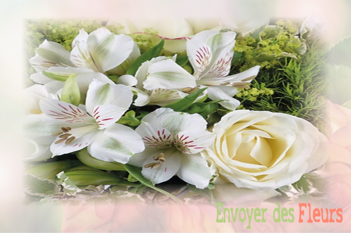 envoyer des fleurs à à SAINT-QUENTIN-DE-BLAVOU